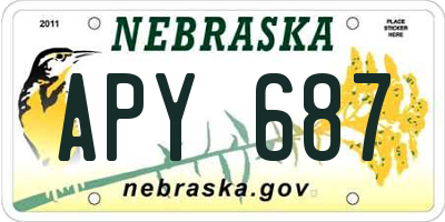 NE license plate APY687