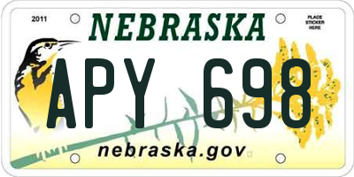 NE license plate APY698