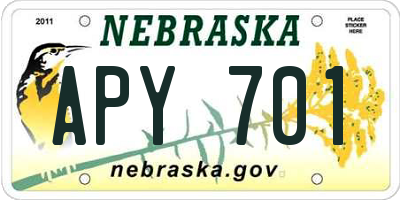 NE license plate APY701