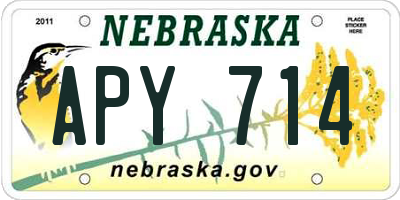 NE license plate APY714