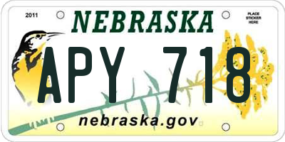 NE license plate APY718