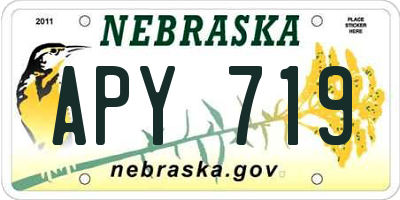 NE license plate APY719