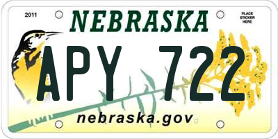 NE license plate APY722