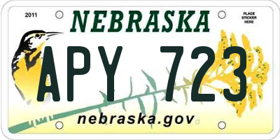 NE license plate APY723
