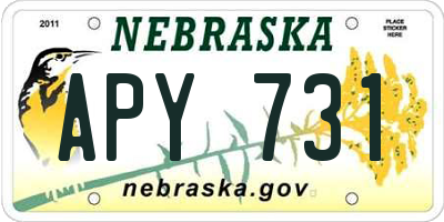 NE license plate APY731