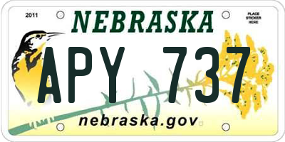 NE license plate APY737