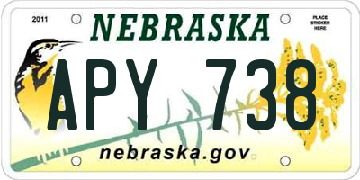 NE license plate APY738