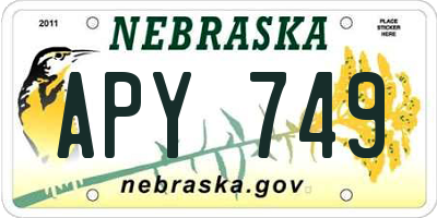 NE license plate APY749