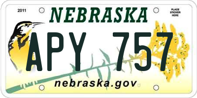 NE license plate APY757