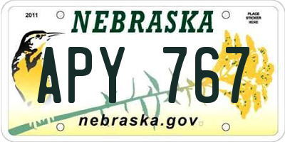 NE license plate APY767