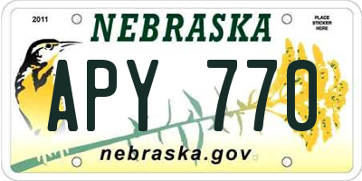 NE license plate APY770
