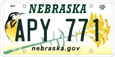 NE license plate APY771