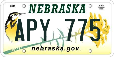 NE license plate APY775