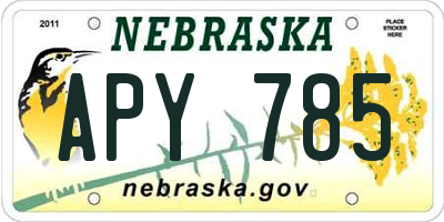 NE license plate APY785