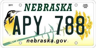 NE license plate APY788