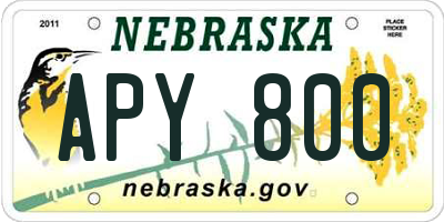 NE license plate APY800