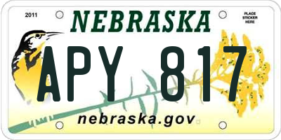 NE license plate APY817