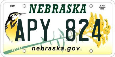 NE license plate APY824