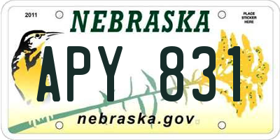 NE license plate APY831