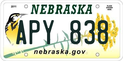 NE license plate APY838