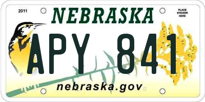 NE license plate APY841