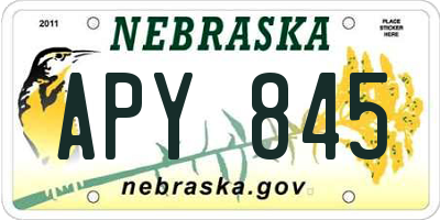 NE license plate APY845