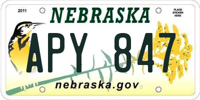 NE license plate APY847