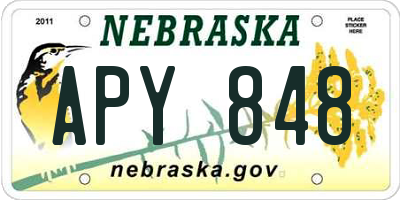 NE license plate APY848