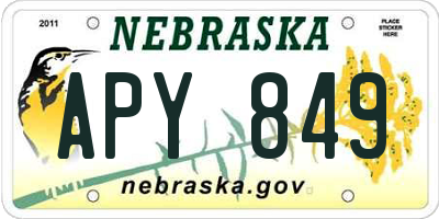 NE license plate APY849