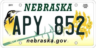 NE license plate APY852