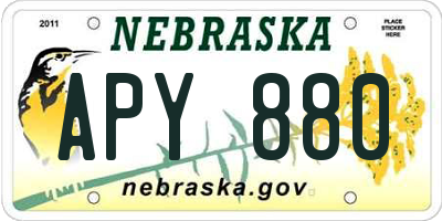NE license plate APY880