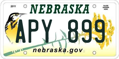 NE license plate APY899
