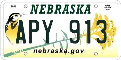 NE license plate APY913