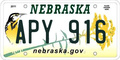 NE license plate APY916