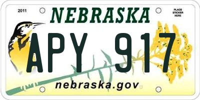 NE license plate APY917