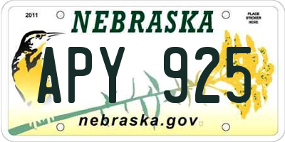 NE license plate APY925