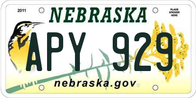 NE license plate APY929
