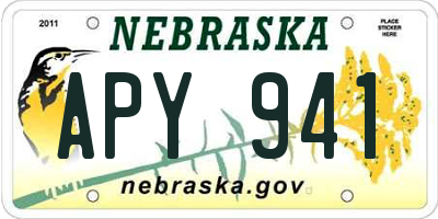 NE license plate APY941
