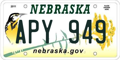NE license plate APY949