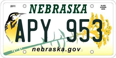 NE license plate APY953