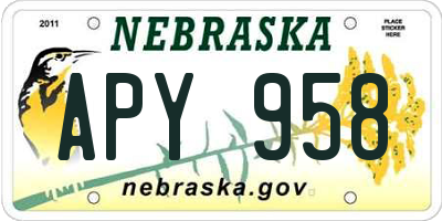 NE license plate APY958