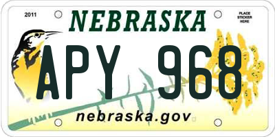 NE license plate APY968