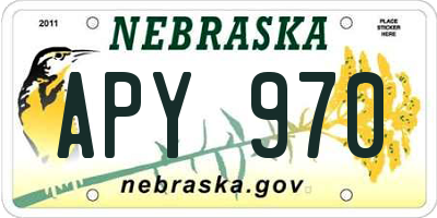 NE license plate APY970