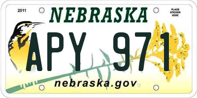 NE license plate APY971