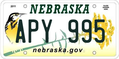 NE license plate APY995