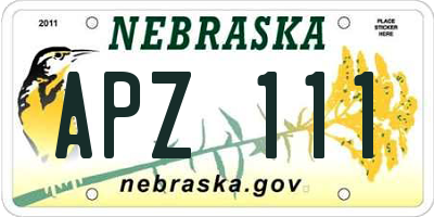 NE license plate APZ111