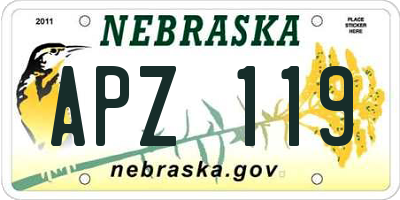 NE license plate APZ119