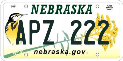 NE license plate APZ222