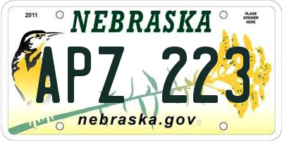 NE license plate APZ223