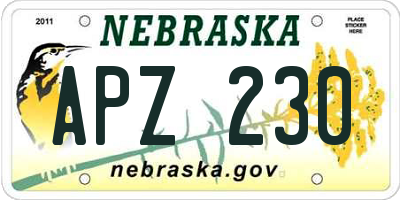 NE license plate APZ230